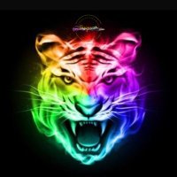 🐯 TigerShoutouts 🐯 (@tigershoutout) 's Twitter Profile