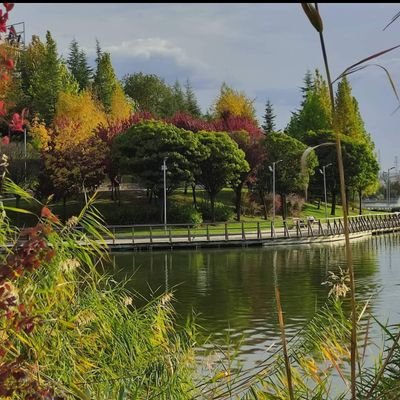 Mutlu7d's profile picture. 