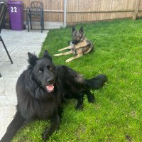 Paula Mercer (@mercer_pm) 's Twitter Profile