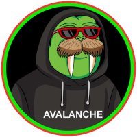 $HEFE on $AVAX🔺 (@hefeonavax) 's Twitter Profile