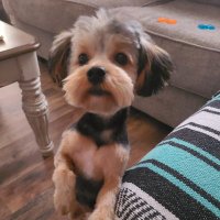 🧡Leslie🧡 (@leslie12890) 's Twitter Profile Photo 🧡Leslie🧡 (@leslie12890) 's Twitter Profile Photo