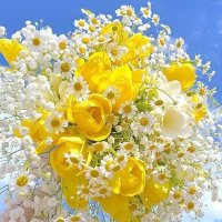 fcan (@fcan1973) Twitter profile photo