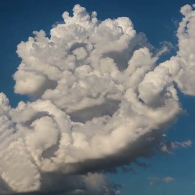 escalmar_erica's profile picture. 