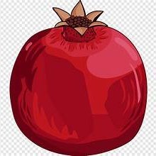 pomeeegranatee's profile picture. خاص = بلوك