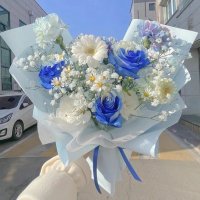 いせ🦐 🧩🩵 超低浮です... (@_isechan) 's Twitter Profile