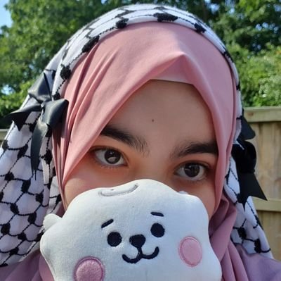 23 | palestinian fairy | gomdori & gomdori protector love club 🧸🐥| OT7 or perish