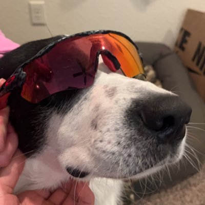 davevanglenn's profile picture. Tormented by the NY Jets | DVH Disciple | Montucky Truther | CoC TH 15 | 5 ⭐️ Hate Watching Prospect | Honorary ECU Baseball Fan