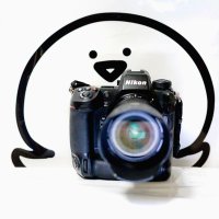 oZ📷しばし撮影ペース下げます (@photographeroz9) 's Twitter Profile Photo