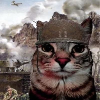 anonimi0's profile picture. 