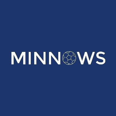 MinnowsFball's profile picture. Second tier football = top tier drama.
