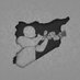 الـّـسـّـوري🇸🇾🦅 (@syrianman90) Twitter profile photo