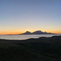 Julie McAdam (@juliemca) 's Twitter Profile
