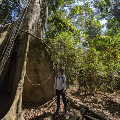 Juan Corredor Garcia Profile