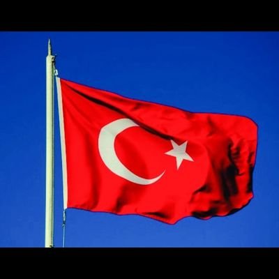 olymposturkuaz's profile picture. sahrasidar3407