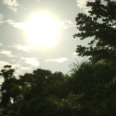 DigiKey285764's profile picture. We’re a full-service partner offering design tools, business solutions, and the world’s largest selection of in-stock electronic components