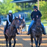 @DHeathRacingStable (@dheathracing) 's Twitter Profile