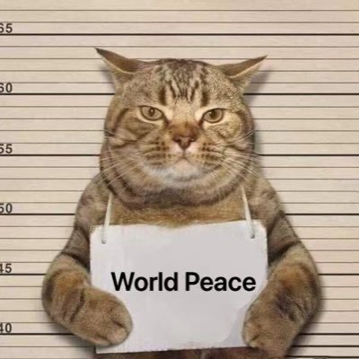 Guobo788's profile picture. 