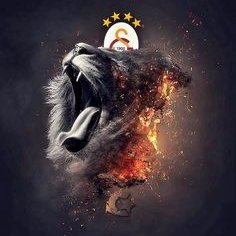 gsaslanilevent's profile picture. GALATASARAY🟨🟥