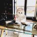 MainLineEasterBunny (@mainlinebunny) Twitter profile photo MainLineEasterBunny (@mainlinebunny) Twitter profile photo