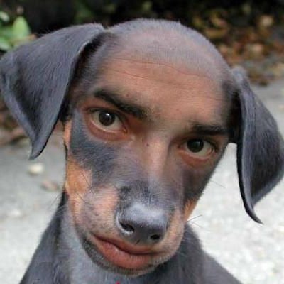 Emilia26215394's profile picture. jag är upcoming proffs