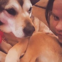 ㋡ シ ★彡 ᵃ𝓶𝕒ᶰ𝓓𝓐 彡★ ㋡ シ (@endofdays05) 's Twitter Profile