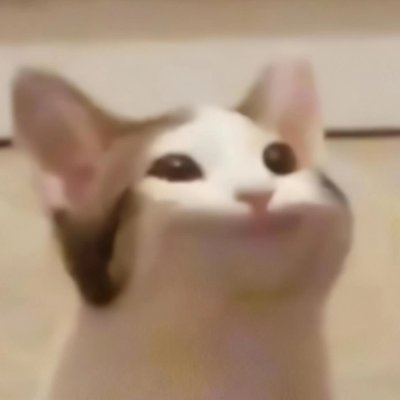 IceySueさんのプロフィール画像