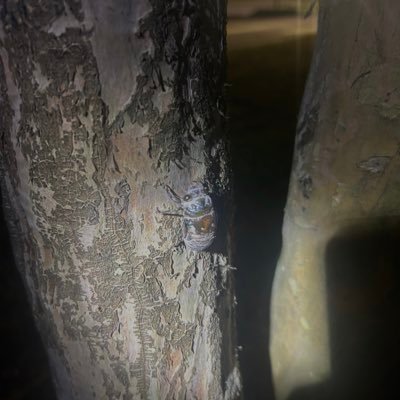 johnfr12345's profile picture. 