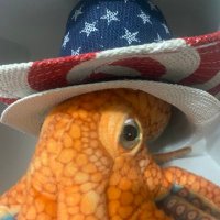 DegemCrypto (@degemcrypto) 's Twitter Profile Photo DegemCrypto (@degemcrypto) 's Twitter Profile Photo