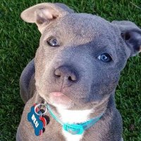 BigBLACKDP (@bblackdp) 's Twitter Profile Photo BigBLACKDP (@bblackdp) 's Twitter Profile Photo