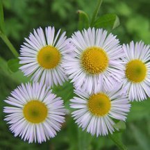 wndrkdwls's profile picture. 