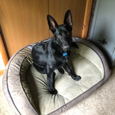 Judytudie's profile picture. She said I know what it’s like to be dead.  ☠️No DMS.