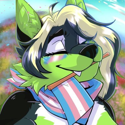 💚🏳️‍⚧️Ryder The Folfsky 🏳️‍⚧️💚さんのプロフィール画像