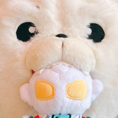 わさびᨒ𖡼.𖤣𖥧さんのプロフィール画像