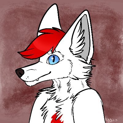 Red The Fluffy Fox 🦊さんのプロフィール画像