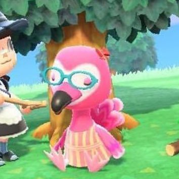 xiaoqq99's profile picture. 25↑成人済み. 성인!!｜mein Laune Tagebuch . ⭠jedentag nicht.ドイツ語すき~ ദ്ദിᐢ. .ᐢ₎ ｜推しと好きのことめっちゃ多いのと、それぞれ別々なアカウントを分けてないのでご注意を (いま分けった)｜◠ ̫◠ ／♡ ~ (๑ - ⩊ - )