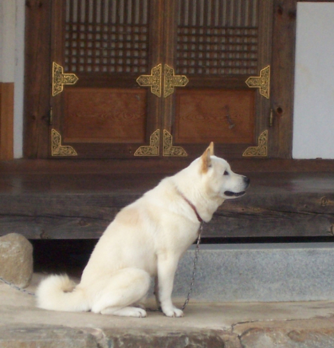 greenhhs108's profile picture. 금연 만3년 넘은 거 같다 이젠 기억도