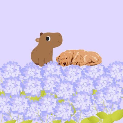 ining1806's profile picture. supports lingorm