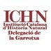 ICHN_Garrotxa (@ichn_garrotxa) Twitter profile photo ICHN_Garrotxa (@ichn_garrotxa) Twitter profile photo