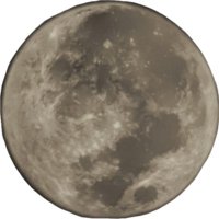 sof_yossy (@yossy1003) 's Twitter Profile