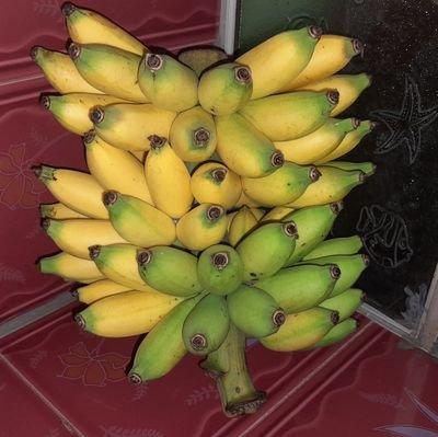 Kang_Dede's profile picture. Grafik desainer, Content Creator, Teacher