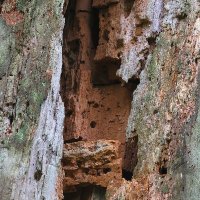 Crom187 (@buergerklarname) 's Twitter Profile