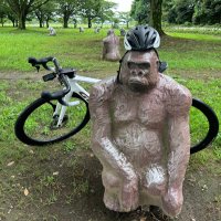 メタボリックコマンドー (@kiwancycling) Twitter profile photo