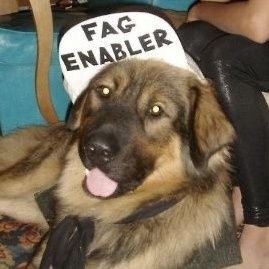 Lucifurrrz's profile picture. Transsexual Furfag | 20 | he\him