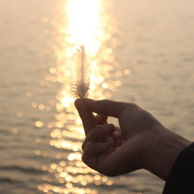 tuhid520's profile picture. 