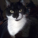 Monika Petersen - @MonikaPetersen1 - Twitter