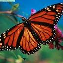 jan grace tagaan - @grace_jan - Twitter