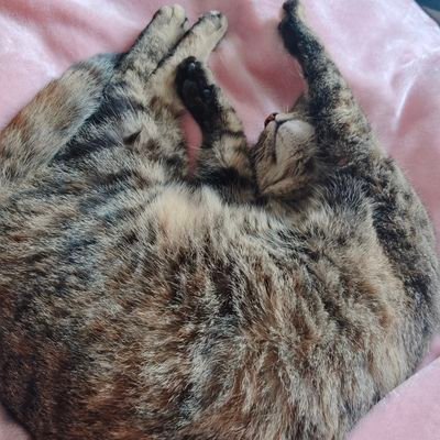 vllerta's profile picture. happy