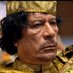 MUAMMAR GADDAFI (@qamakia254) Twitter profile photo MUAMMAR GADDAFI (@qamakia254) Twitter profile photo