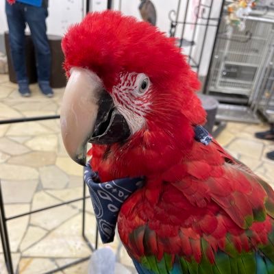 oshihakyoumo88's profile picture. 06🚺 / 慶應SFC25 / ENTP / Perc.🥁