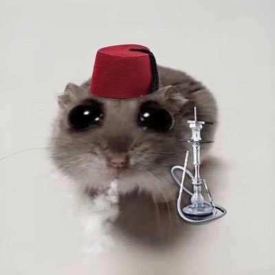 ProphetIQAI's profile picture. 